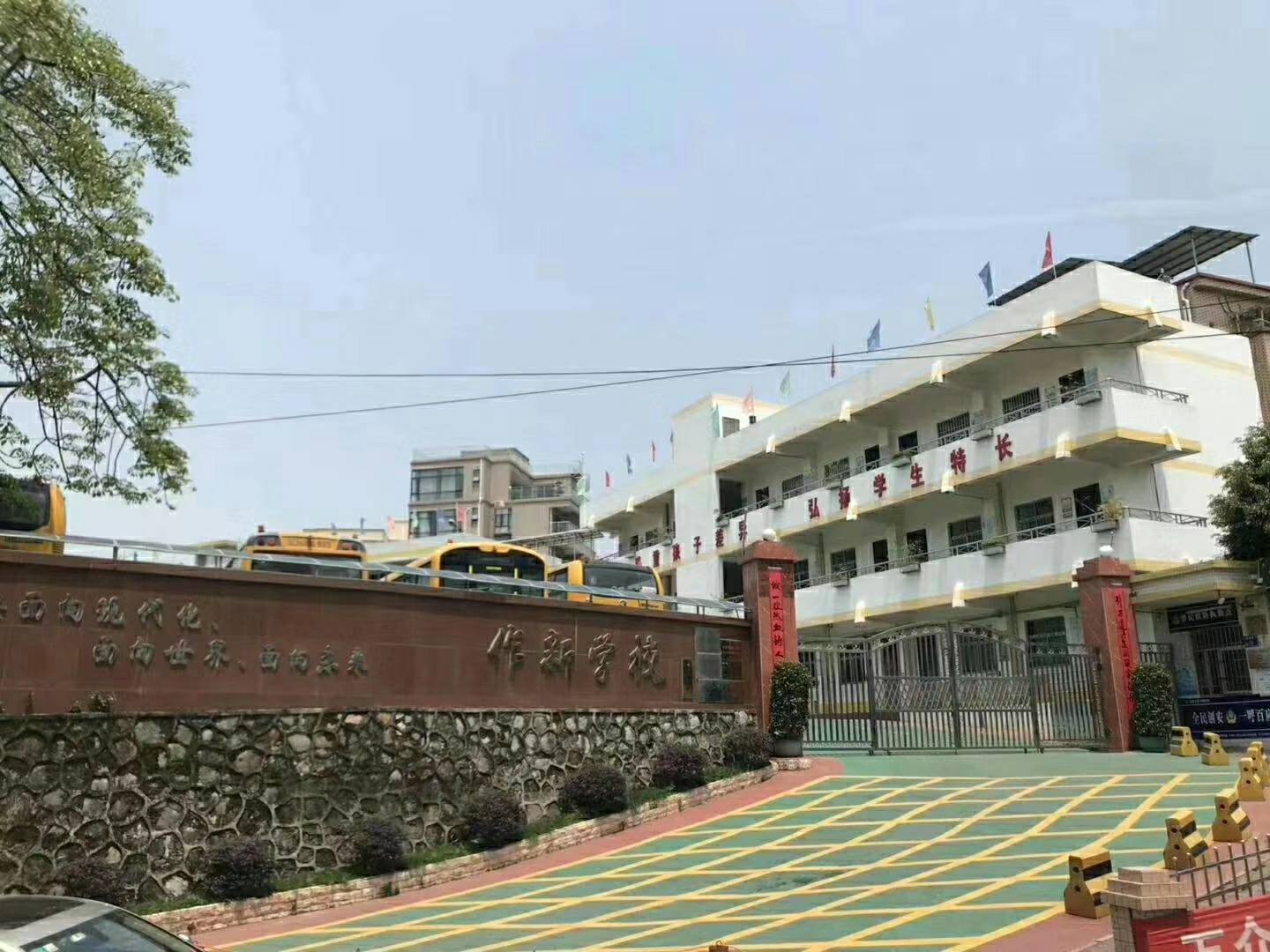 6.jpg