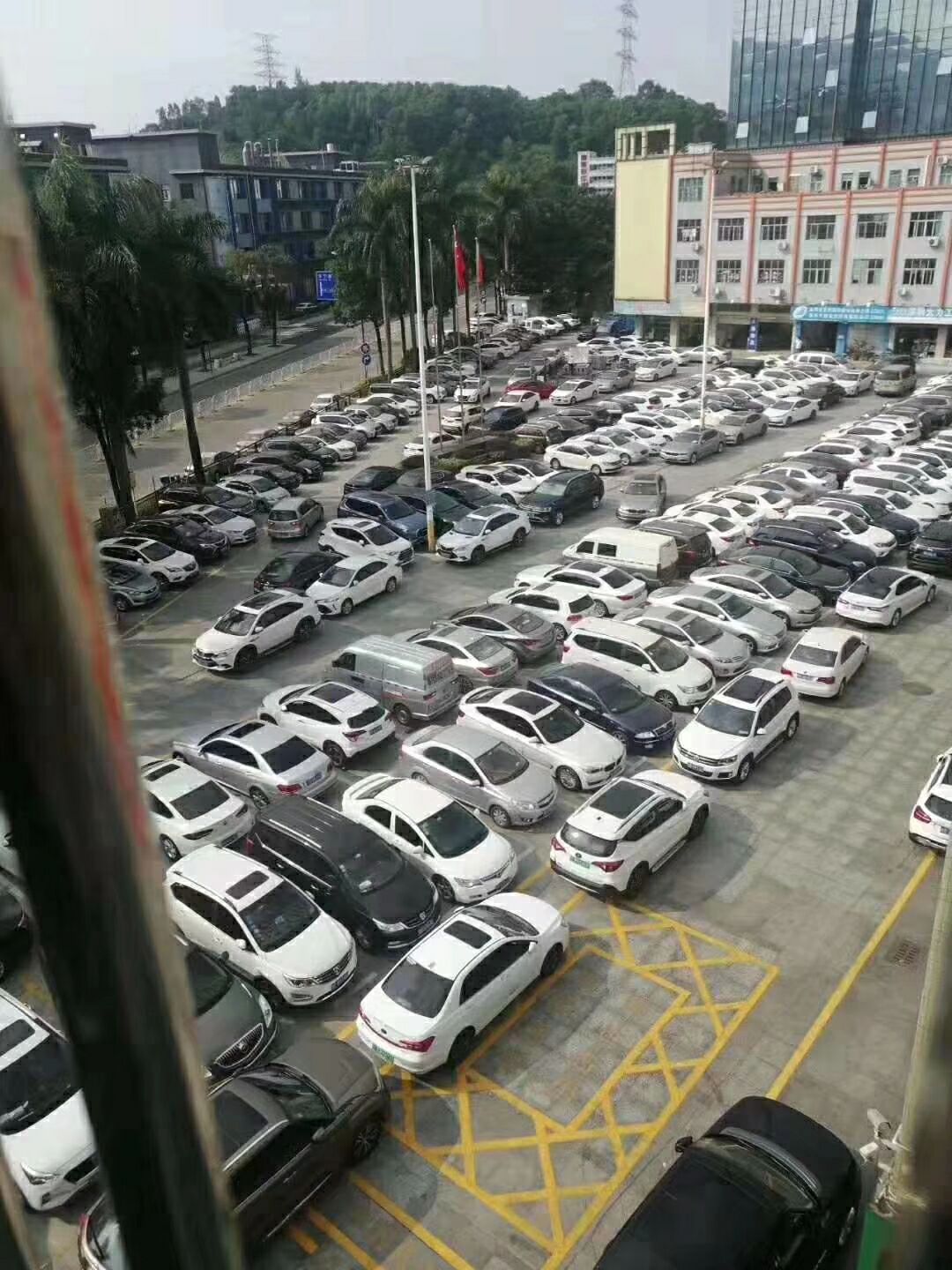 7.jpg